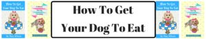 header, title, book cover, how to get your dog to eat