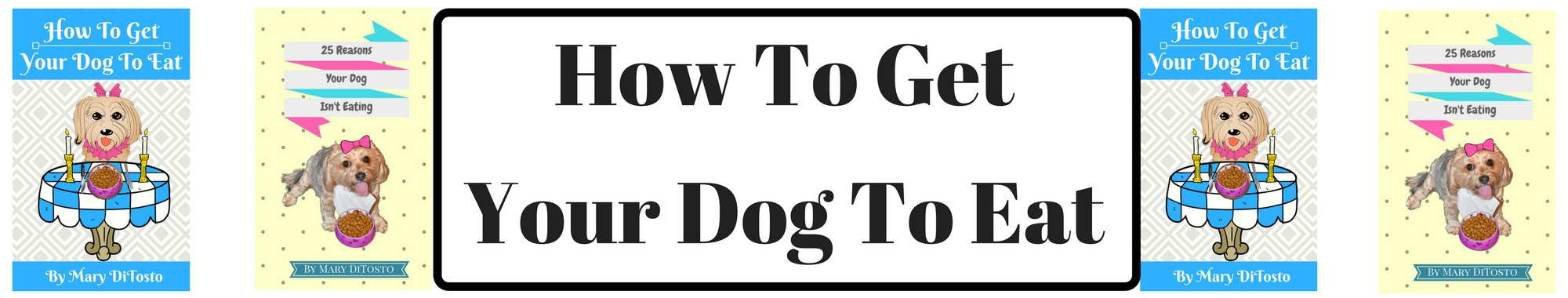 how to get my to eat how to get your to eat 2 a pet parent s guide to picky how to get my to eat how to get your to eat 2 a pet parent s guide to picky