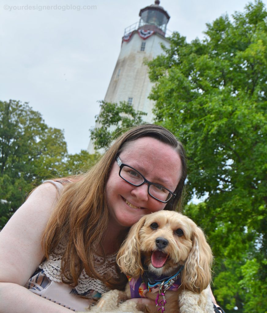 mary ditosto, author photo, sadie, yorkipoo